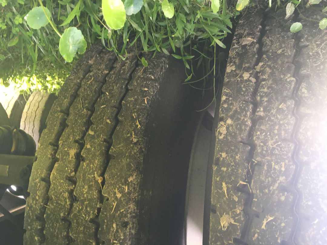 1996 HACKNEY 20 Bay - Image 10